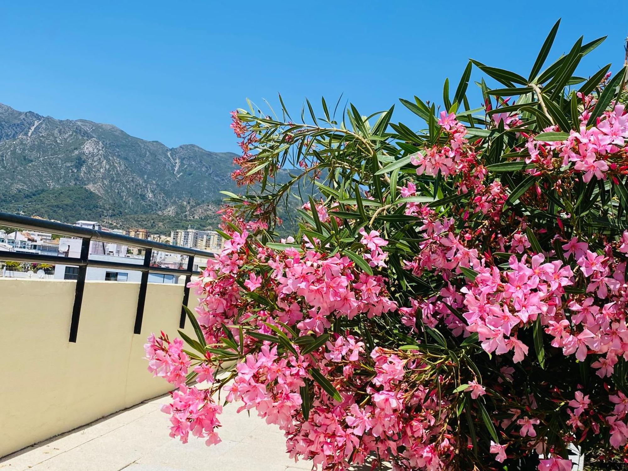 מארבלה Apartment On The First Line Of The Sea With A View And Free Parking מראה חיצוני תמונה